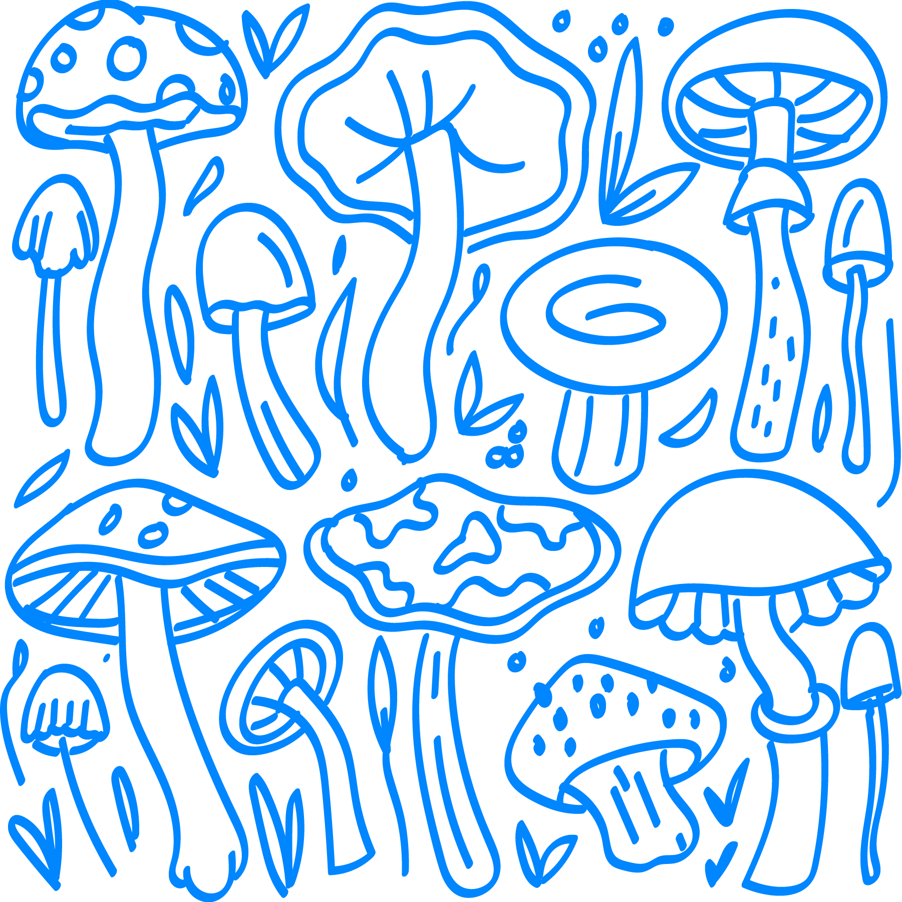 Shroom