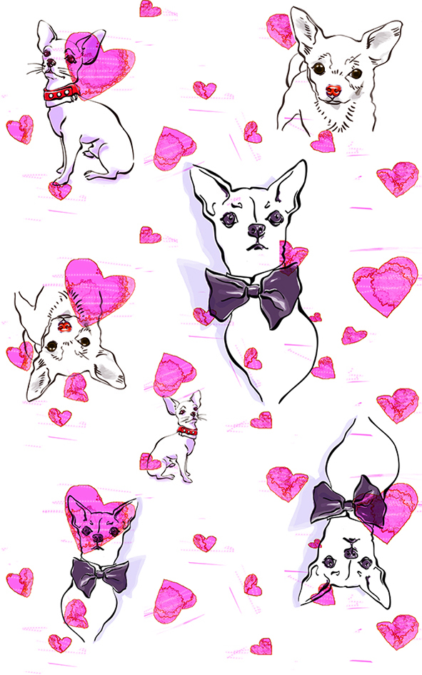 chihuahua