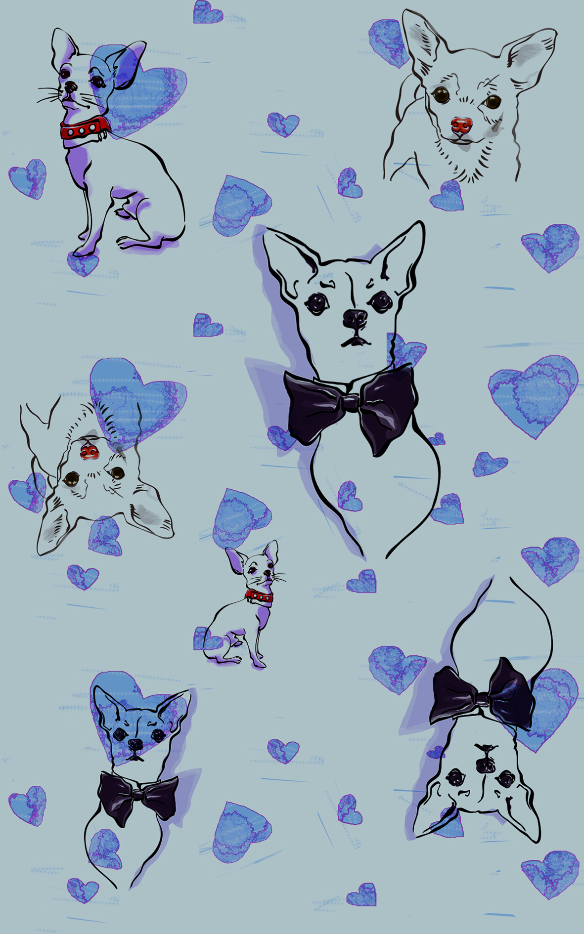 chihuahua