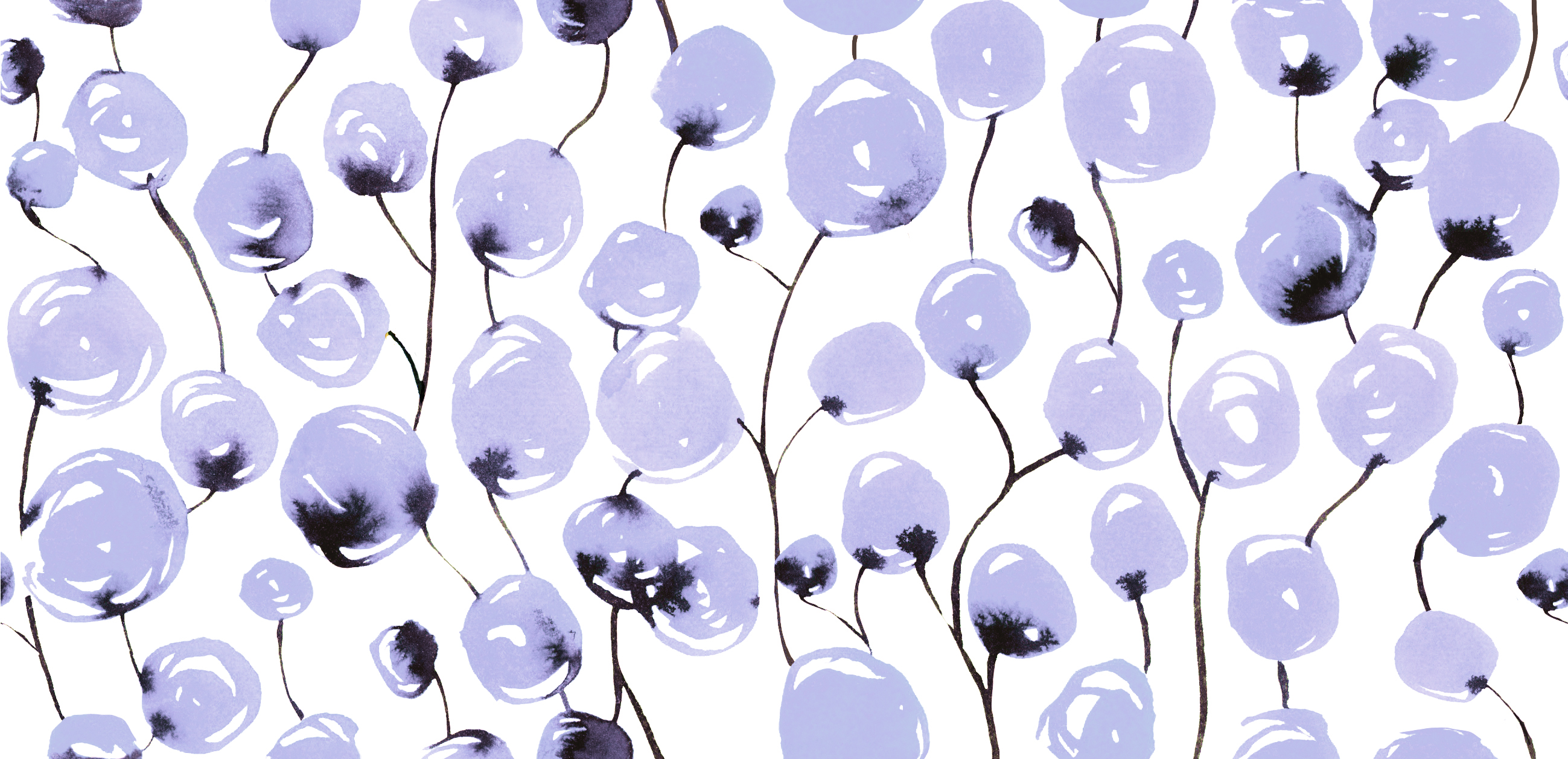 Pompon