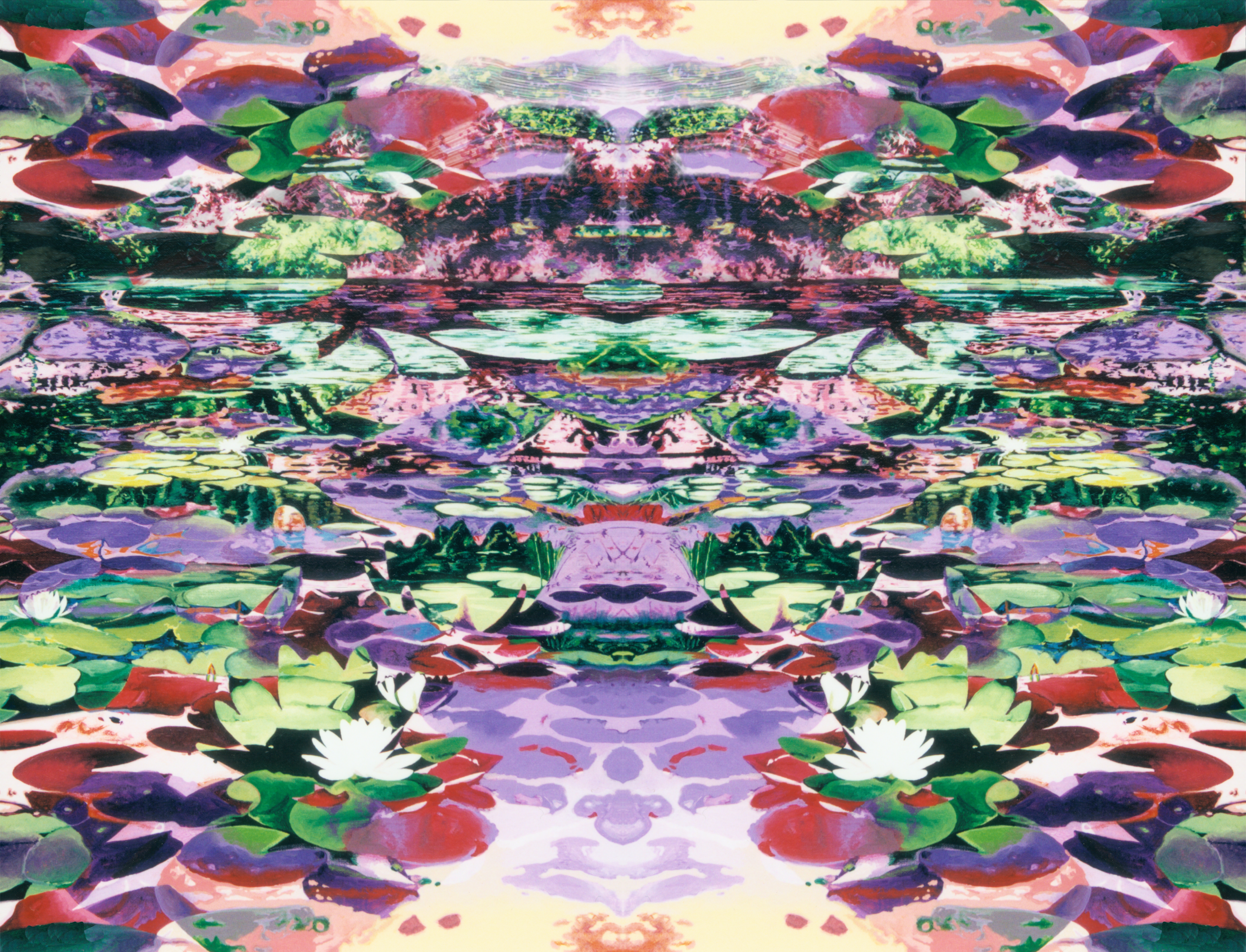 Nymphéas 07