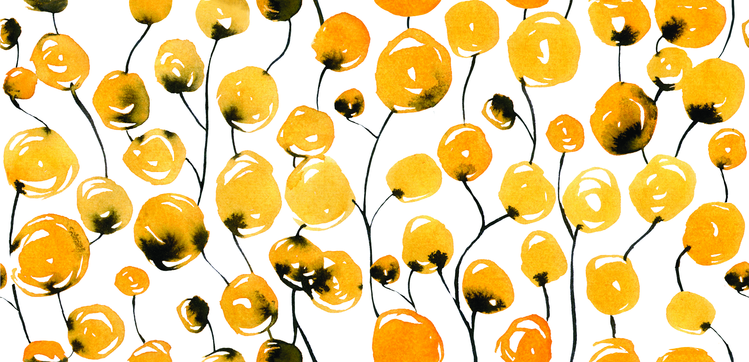 Pompon